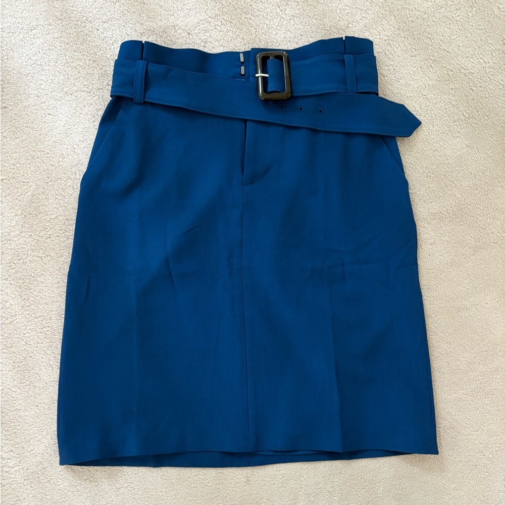 NEW Banana Republic Blue Pleated Skirt